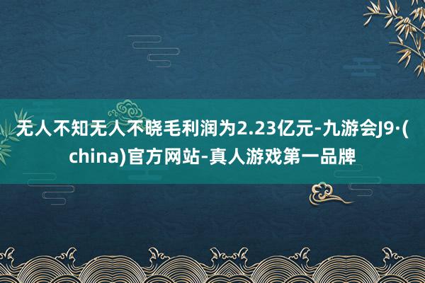 无人不知无人不晓毛利润为2.23亿元-九游会J9·(china)官方网站-真人游戏第一品牌