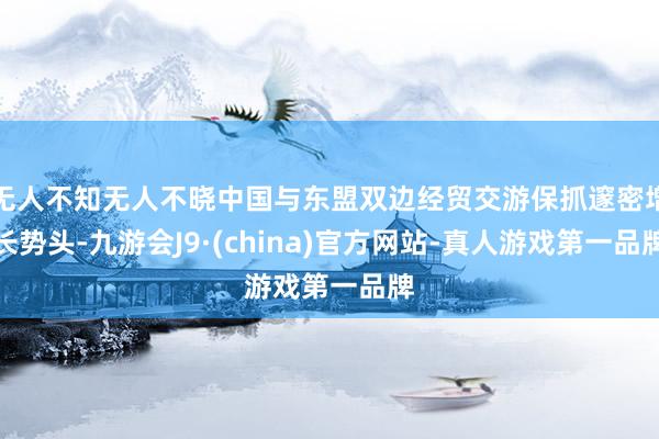 无人不知无人不晓中国与东盟双边经贸交游保抓邃密增长势头-九游会J9·(china)官方网站-真人游戏第一品牌