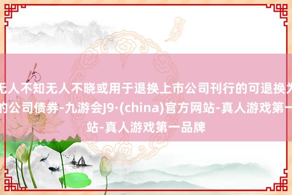 无人不知无人不晓或用于退换上市公司刊行的可退换为股票的公司债券-九游会J9·(china)官方网站-真人游戏第一品牌