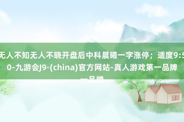 无人不知无人不晓开盘后中科晨曦一字涨停；适度9:50-九游会J9·(china)官方网站-真人游戏第一品牌