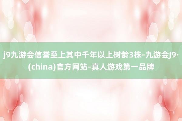 j9九游会信誉至上其中千年以上树龄3株-九游会J9·(china)官方网站-真人游戏第一品牌