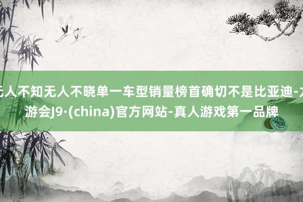 无人不知无人不晓单一车型销量榜首确切不是比亚迪-九游会J9·(china)官方网站-真人游戏第一品牌