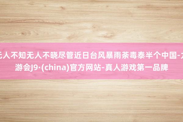 无人不知无人不晓尽管近日台风暴雨荼毒泰半个中国-九游会J9·(china)官方网站-真人游戏第一品牌