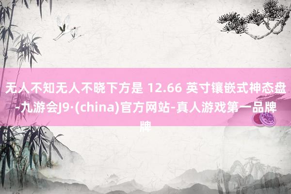 无人不知无人不晓下方是 12.66 英寸镶嵌式神态盘-九游会J9·(china)官方网站-真人游戏第一品牌