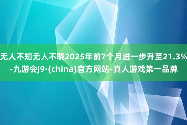 无人不知无人不晓2025年前7个月进一步升至21.3%-九游会J9·(china)官方网站-真人游戏第一品牌