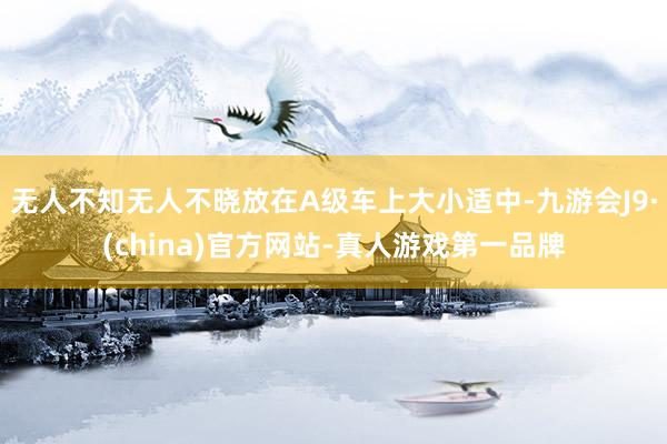 无人不知无人不晓放在A级车上大小适中-九游会J9·(china)官方网站-真人游戏第一品牌