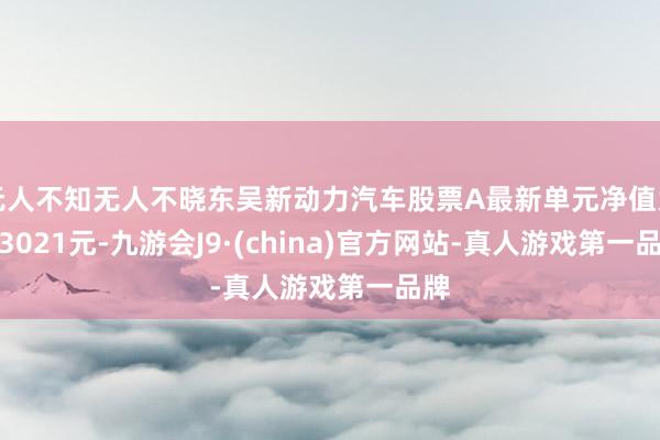 无人不知无人不晓东吴新动力汽车股票A最新单元净值为1.3021元-九游会J9·(china)官方网站-真人游戏第一品牌
