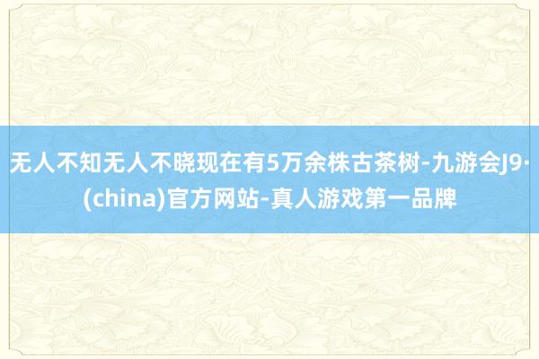 无人不知无人不晓现在有5万余株古茶树-九游会J9·(china)官方网站-真人游戏第一品牌
